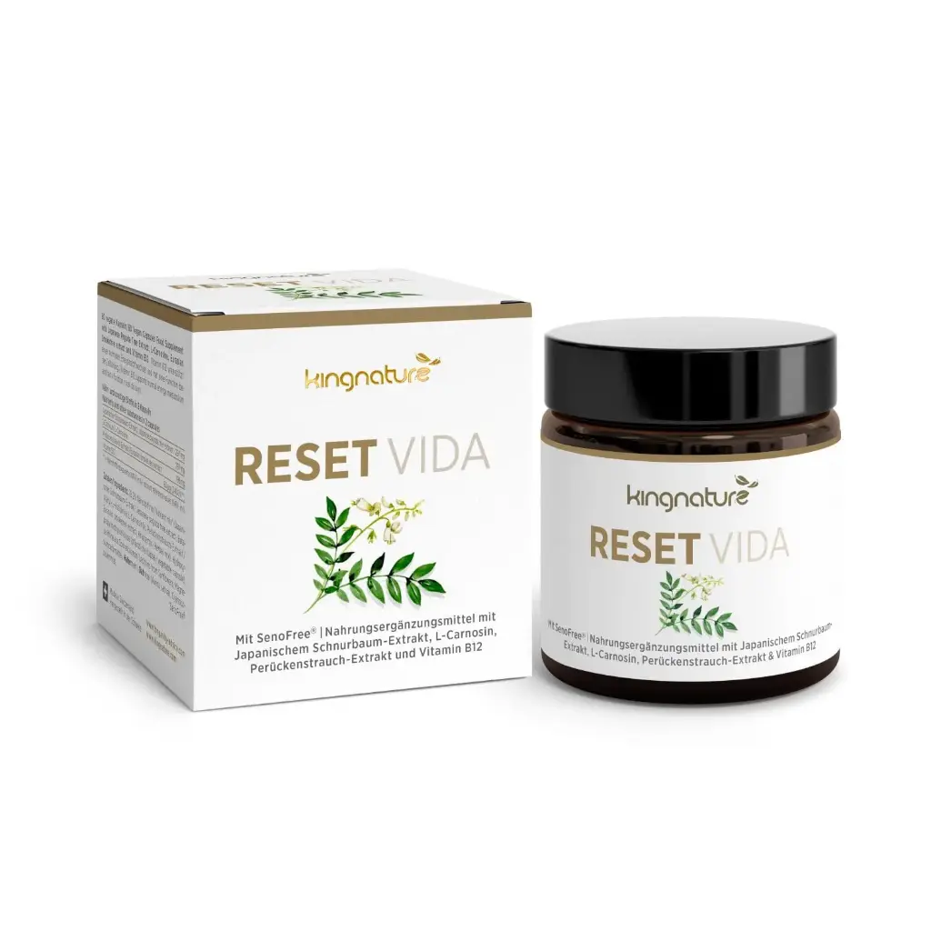 [276] Reset Vida