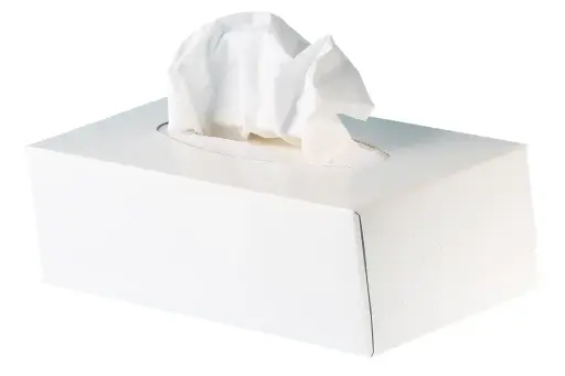 [153008860] Kosmetiktücher neutral 2-lagig weiss